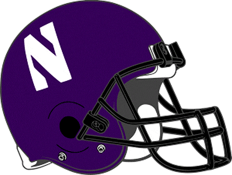 Northwestern Wildcats 1994-Pres Helmet Logo diy DTF decal sticker